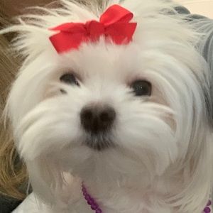 Meet your Posher, Monica